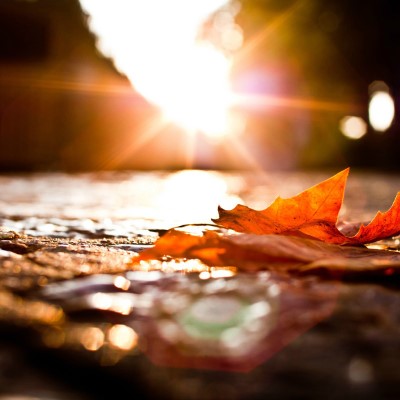 1920 x 1080 HD Wallpapers 1344